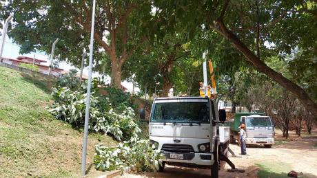 #PraCegoVer: Homens cortam galhos de árvores com apoio de caminhões especiais em pista de caminhada do CLT. 