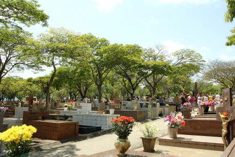 #PraCegoVer: Foto mostra imagem do cemitério, com túmulos e flores.