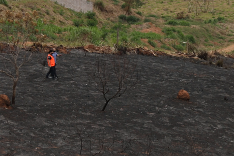 #PraCegoVer: Um homem e uma mulher caminham por um terreno com marcas de fogo em mato