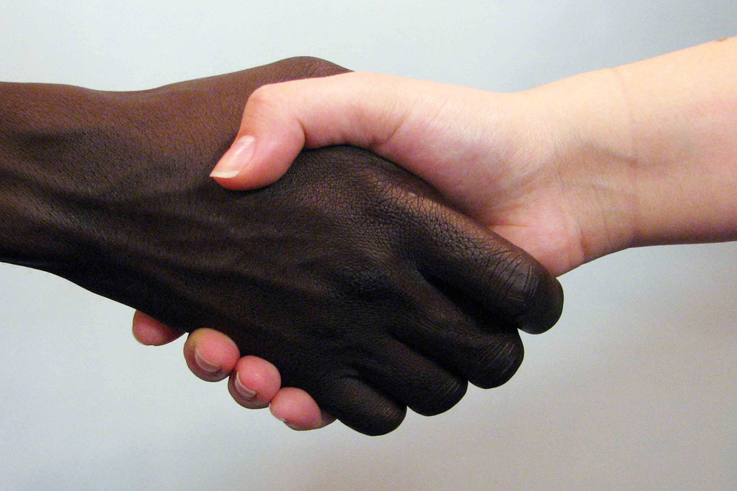 #PraCegoVer: Foto mostra um aperto de mãos. À esquerda está uma mão preta, e à direita uma mão branca.
