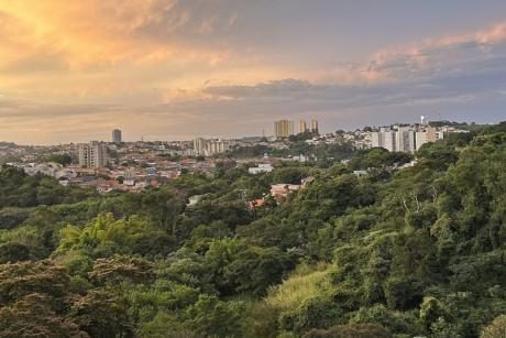 #PraCegoVer: foto mostra paisagem de Valinhos com muito verde e prédios ao fundo.